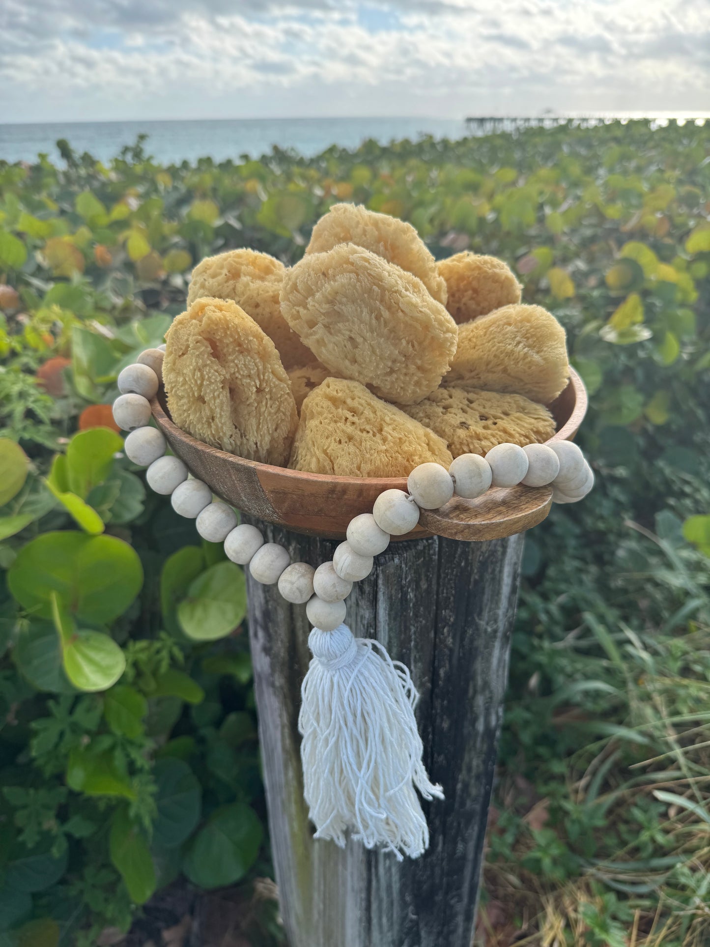 Natural Bath Sea Sponges