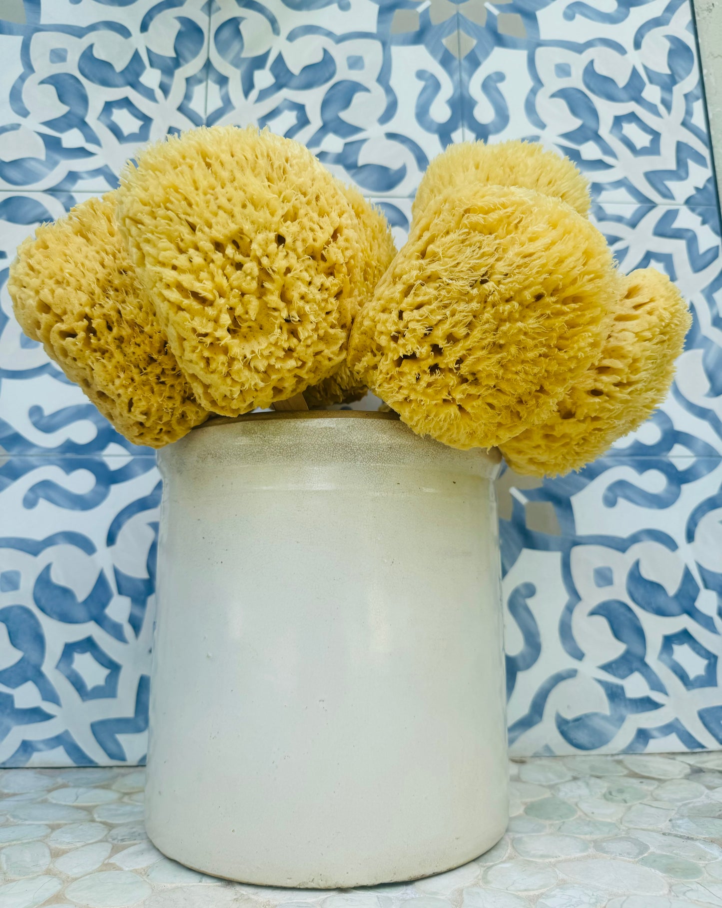 Natural Sea Sponge Back Scrubber