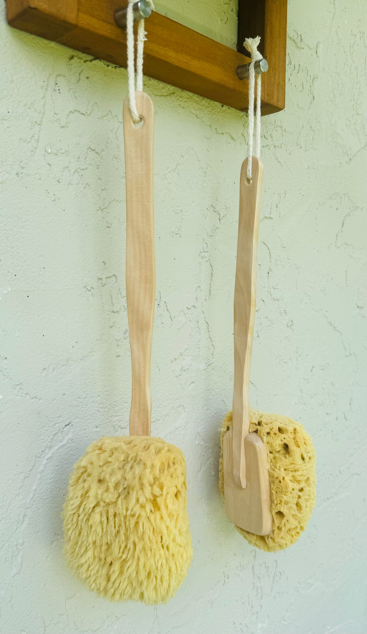 Natural Sea Sponge Back Scrubber